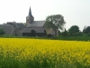 Koolzaad en uitzicht op de kerk